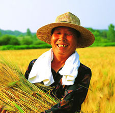用吉姆克秸稈顆粒機，讓廢秸稈變大財富!
